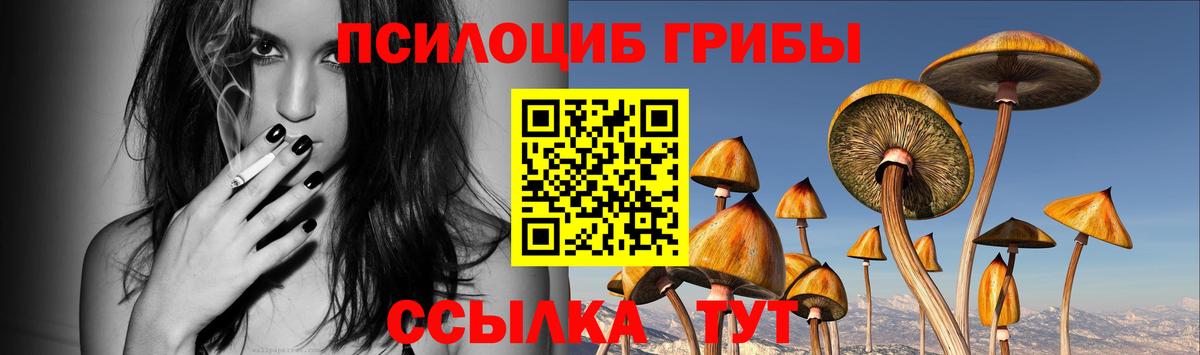 Краснокаменск  купить наркотик  Вход с VPN  Псилоцибиновые грибы GOLDEN TEACHER 